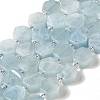 Natural Aquamarine Beads Strands G-P534-A08-01-1