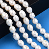 Natural Cultured Freshwater Pearl Beads Strands PEAR-N012-06V-2