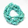 Dyed Natural Magnesite Chips Beads Strands G-L454-06-2