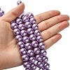 Eco-Friendly Dyed Glass Pearl Round Beads Strands HY-A002-12mm-RB056-4
