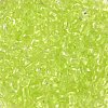 Transparent Colours Glass Seed Beads SEED-P007-02A-01-3