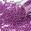 12/0 Glass Seed Beads SEED-A017-2mm-1116-1