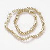 Full Rainbow Plated Faceted Bicone Glass Bead Strands EGLA-J102-FR11-2