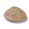 Natural Fossil Coral Pendants G-G779-02B-3