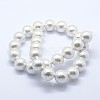 Shell Pearl Beads Strands BSHE-K053-02-12mm-2