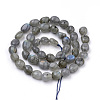 Natural Labradorite Beads Strands G-Q952-12-6x8-2