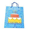 Birthday Theme Rectangle Paper Bags CARB-E004-03D-2