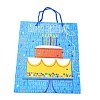 Birthday Theme Rectangle Paper Bags CARB-E004-03D-2