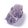 Raw Rough Natural Amethyst Nuggets Beads G-XCP0001-19-3