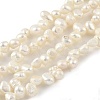 Natural Cultured Freshwater Pearl Beads Strands PEAR-A006-17A-1