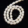 Grade B Natural Cultured Freshwater Pearl Beads Strands X-PEAR-L001-F-20-3