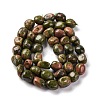 Natural Unakite Beads Strands G-G146-A14-01-3