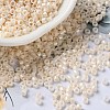 Baking Paint Glass Seed Beads SEED-S042-15A-02-1