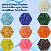 100G 10 Clors TOHO Japanese Seed Beads SEED-YW0002-46-3