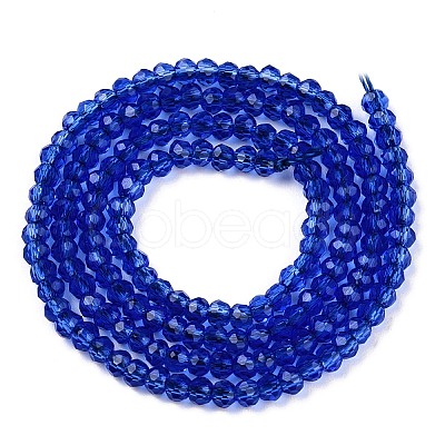 Glass Beads Strands EGLA-T021-01C-1