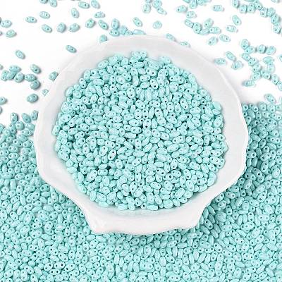 Baking Paint Glass Seed Beads SEED-T006-03G-1