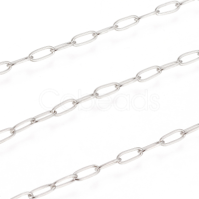 Tarnish Resistant 304 Stainless Steel Paperclip Chains CHS-F010-01I-P-1