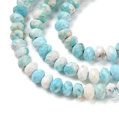 Natural Howlite Beads Strands G-H025-03D-09-1