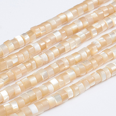 Natural Trochid Shell/Trochus Shell Beads Strands SSHEL-L016-13-1