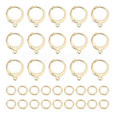 Unicraftale 40Pcs 304 Stainless Steel Leverback Earring Findings STAS-UN0041-83-1