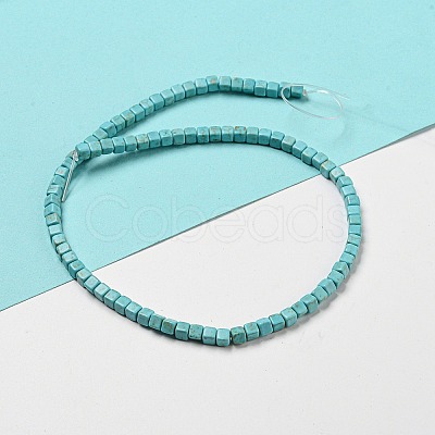 Dyed Synthetic Turquoise Beads Strands G-G075-B02-03-1