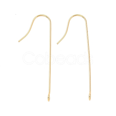 316 Surgical Stainless Steel Earring Hooks X-STAS-E027-01A-G-1