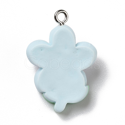 Opaque Resin Pendants X-RESI-D055-082P-1