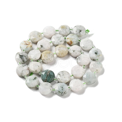 Natural Tree Agate Beads Strands G-NH0004-017-1