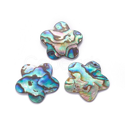 Abalone Shell/Paua Shell Pendants SHEL-P076-07-1