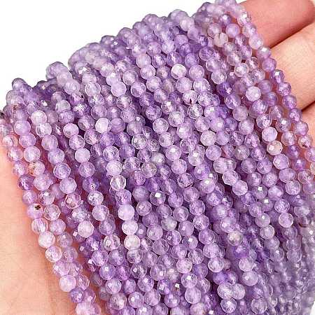 Natural Amethyst Beads Strands G-C127-A03-04-1