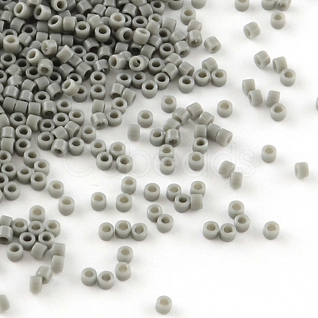 MIYUKI Delica Beads X-SEED-R015-731-1