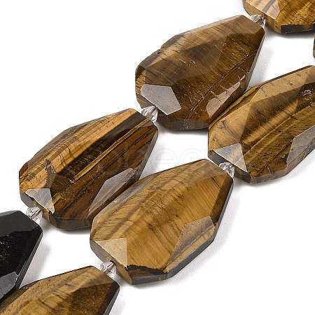 Natural Tiger Eye Beads Strands G-P548-B21-01-1