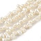 Natural Cultured Freshwater Pearl Beads Strands, Top Drilled, Two Sides Polished, Grade 3A, Old Lace, 5~5.5mm, Hole: 0.5mm, about 35pcs/strand, 6.89 inch(17.5cm)