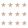 SUPERFINDINGS 12Pcs Star Brooch Pin JEWB-FH0001-43-1