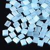2-Hole Glass Seed Beads SEED-S023-16C-02-1