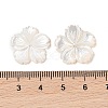 Natural White Shell Beads SSHEL-C012-23B-3