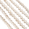 CHGCRAFT 1 Strand Natural Cultured Freshwater Pearl Beads Strands PEAR-CA0001-15C-2