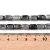 Natural Eagle Eye Stone Beads Strands G-G980-43-5