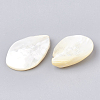 Natural White Shell Beads SHEL-T005-03-2