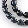 Rice Dyed Natural Cultured Freshwater Pearl Beads Strands PEAR-R012-21-1