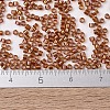MIYUKI Delica Beads SEED-J020-DB1736-4