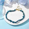 Natural Apatite Anklets AJEW-AN00592-01-2