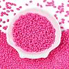 Baking Paint Glass Seed Beads SEED-T006-03Q-1