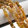 Natural Botswana Agate Beads Strands G-D081-A10-02-2