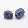 Natural Blue Spot Jasper Beads G-H1462-06-2