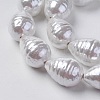 Shell Pearl Beads Strands BSHE-O018-04-2