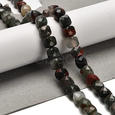 Natural African Bloodstone Beads Strands G-H078-C26-01-1