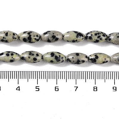 Natural Dalmatian Jasper Beads Strands G-K362-I14-06-1