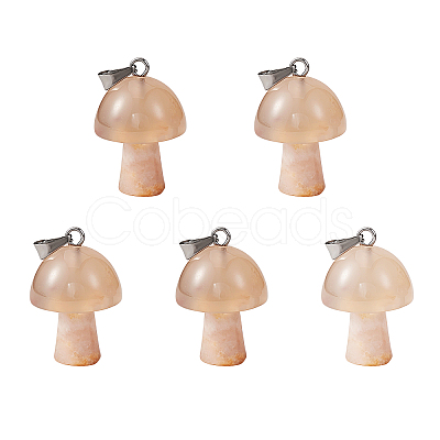 5Pcs Natural Cherry Blossom Agate Pendants G-SZ00001-87D-1