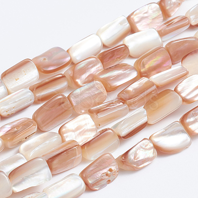 Natural Sea Shell Beads Strands SSHEL-L016-14-1